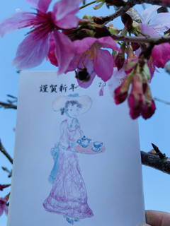 八卦茶園