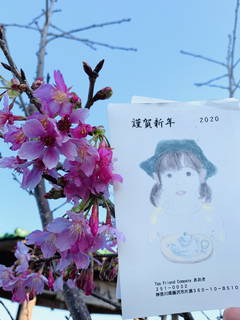 八卦茶園