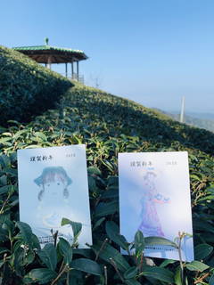 八卦茶園