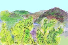 八卦茶園