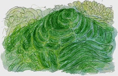 八卦茶園