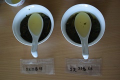 八卦茶園