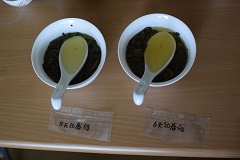 八卦茶園