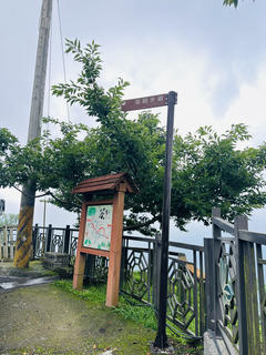 八卦茶園