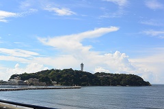 八卦茶園