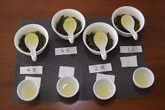 八卦茶園